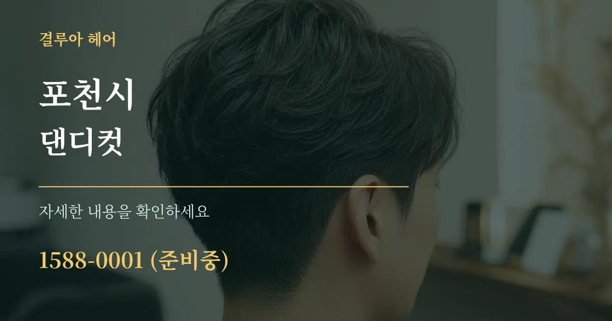 포천시 댄디컷 서비스 이용 안내 그래픽