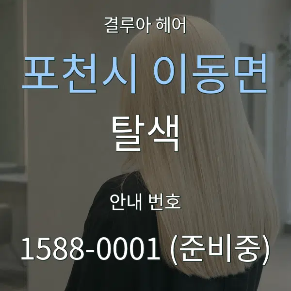 포천시 이동면 탈색 대표 안내 그래픽