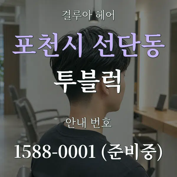 포천시 선단동 투블럭 대표 안내 그래픽