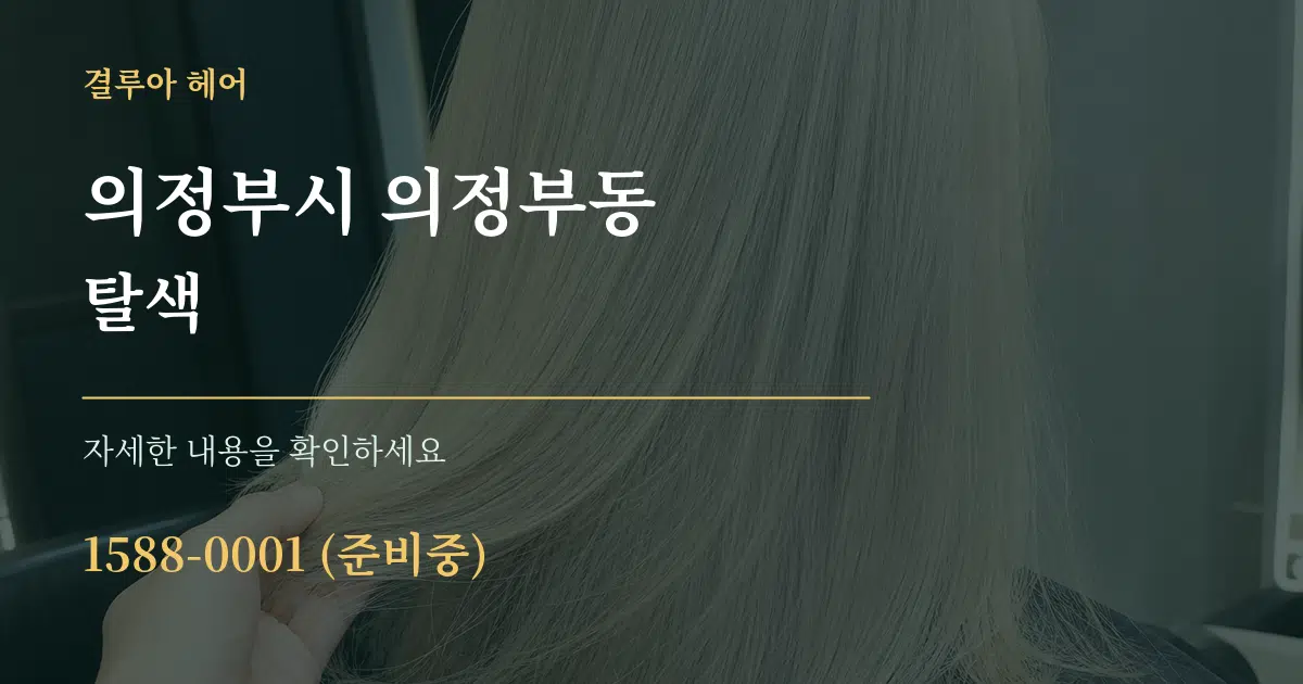 의정부시 의정부동 탈색 작업 조건 안내 그래픽