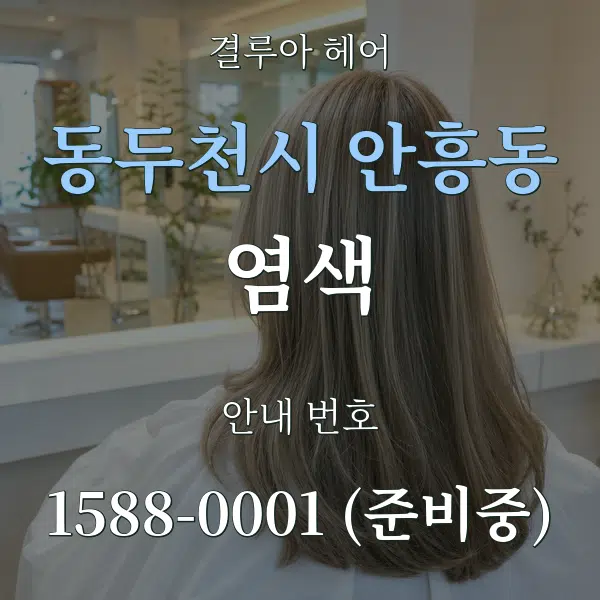 동두천시 안흥동 염색 대표 안내 그래픽