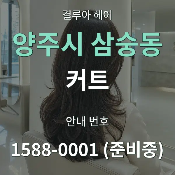 양주시 삼숭동 커트 대표 안내 그래픽