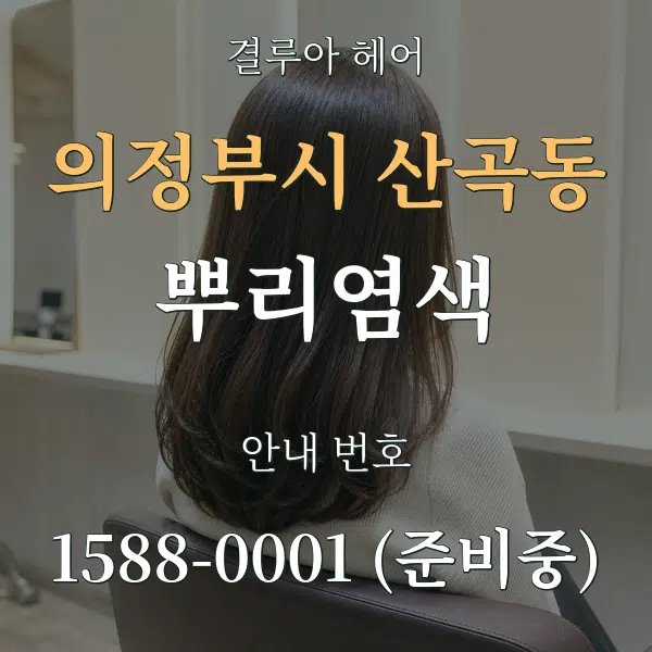 의정부시 산곡동 뿌리염색 대표 안내 그래픽
