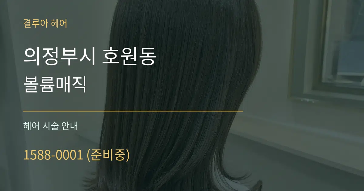 의정부시 호원동 볼륨매직 대표 안내 그래픽
