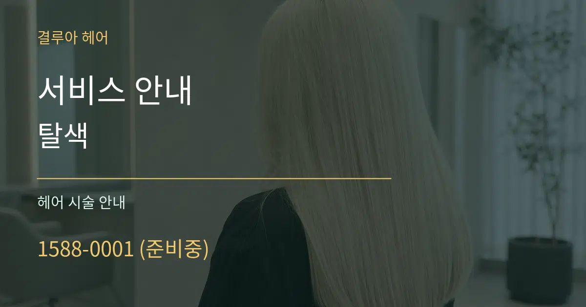 서비스 안내 탈색 대표 안내 그래픽