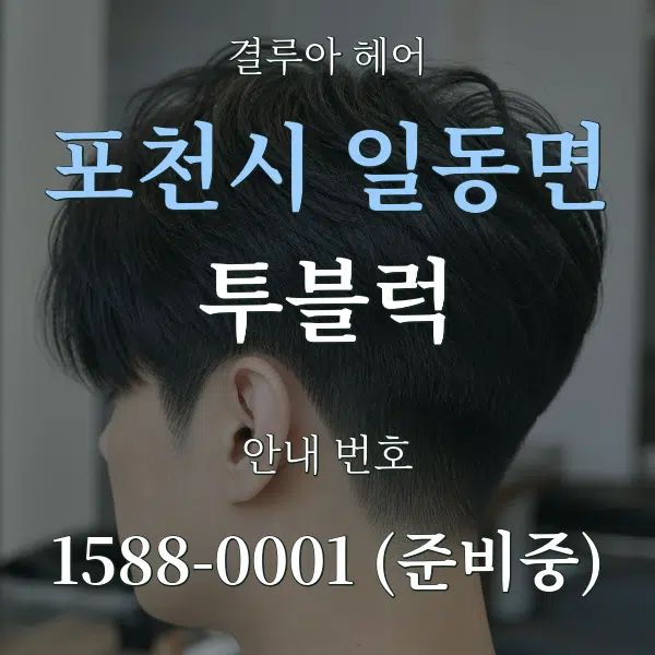 포천시 일동면 투블럭 대표 안내 그래픽