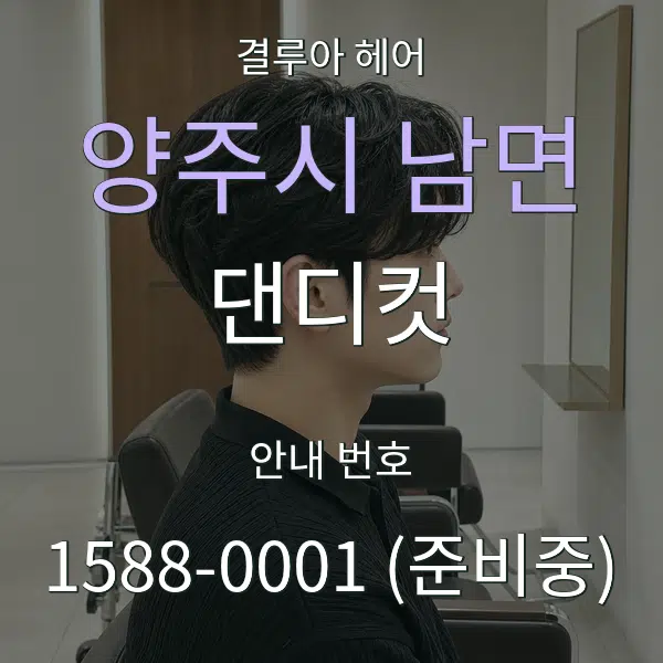 양주시 남면 댄디컷 대표 안내 그래픽