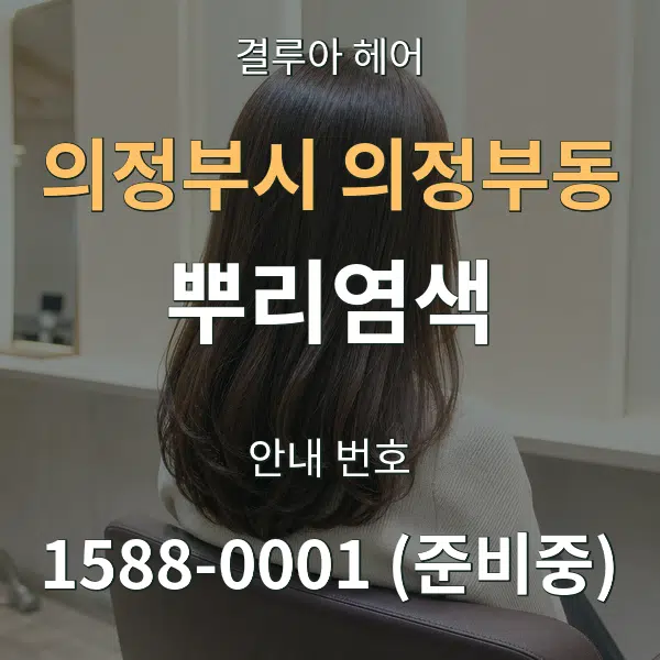 의정부시 의정부동 뿌리염색 대표 안내 그래픽