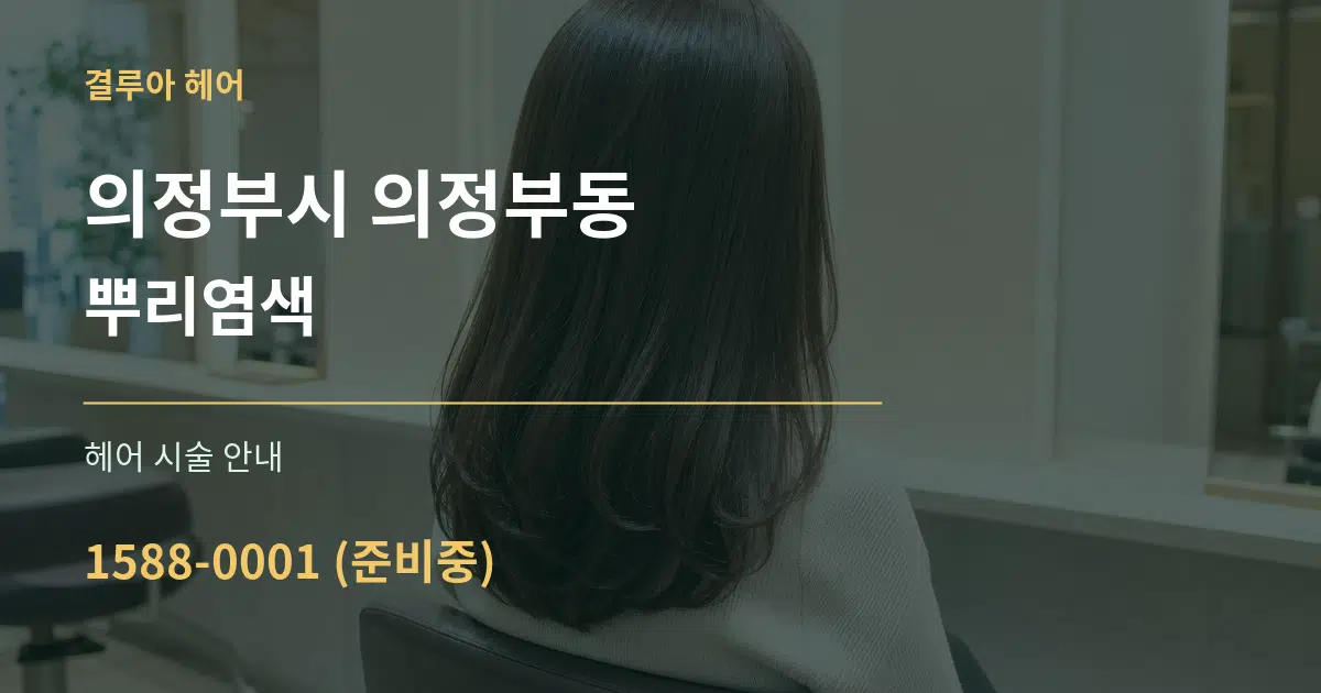 의정부시 의정부동 뿌리염색 대표 안내 그래픽