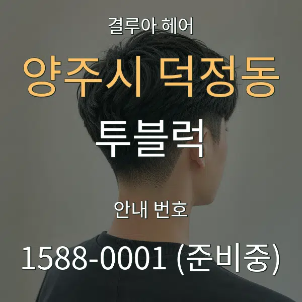 양주시 덕정동 투블럭 대표 안내 그래픽
