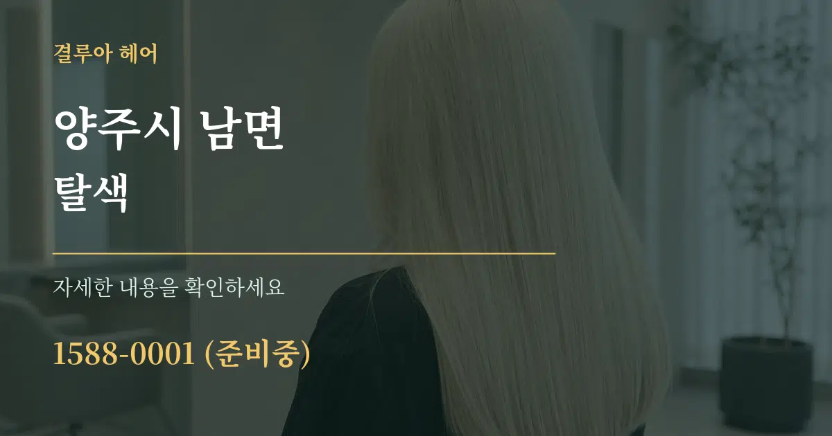 양주시 남면 탈색 서비스 이용 안내 그래픽