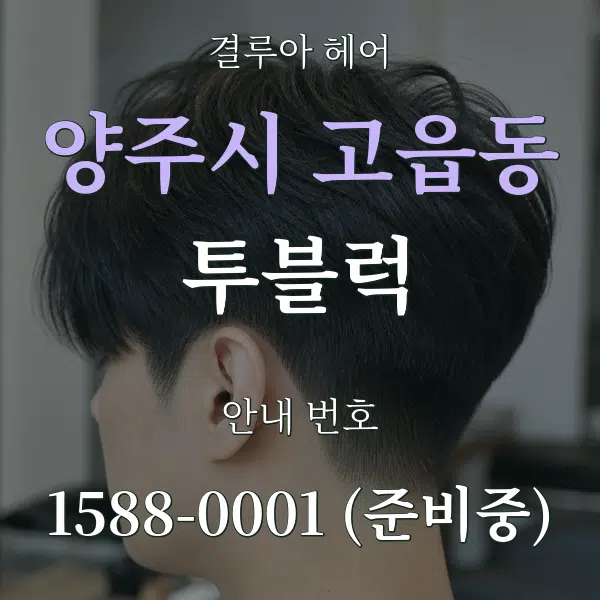 양주시 고읍동 투블럭 대표 안내 그래픽