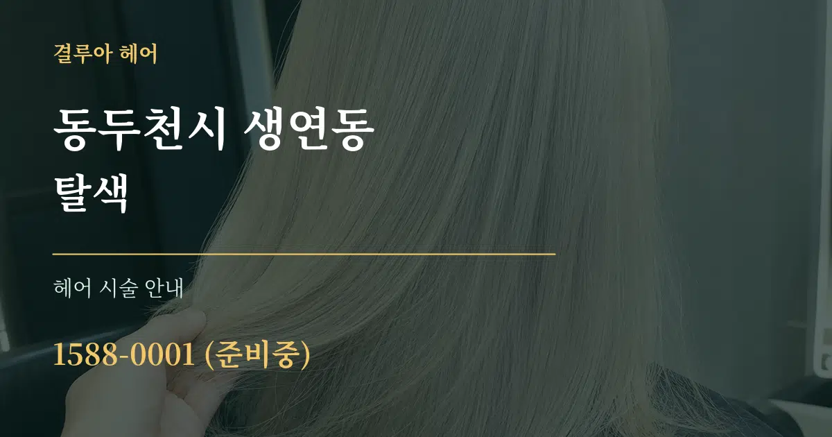 동두천시 생연동 탈색 대표 안내 그래픽