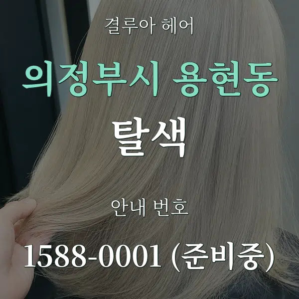 의정부시 용현동 탈색 대표 안내 그래픽