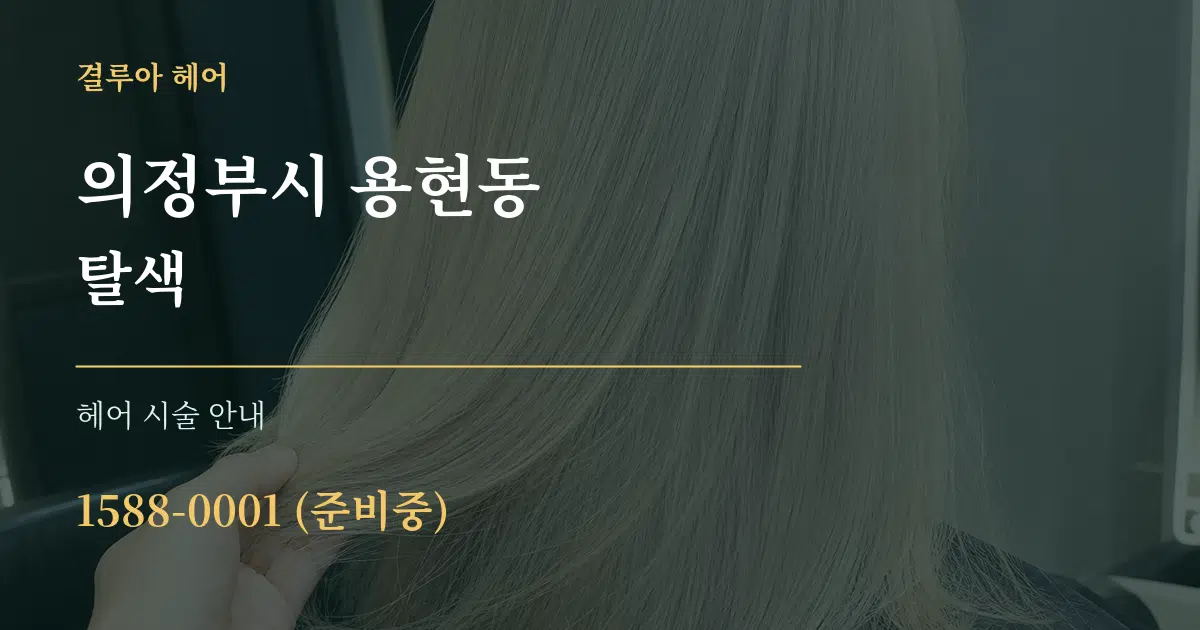 의정부시 용현동 탈색 대표 안내 그래픽