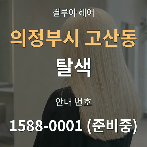 의정부시 고산동 탈색 대표 안내 그래픽
