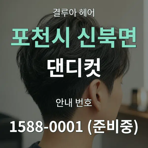 포천시 신북면 댄디컷 대표 안내 그래픽