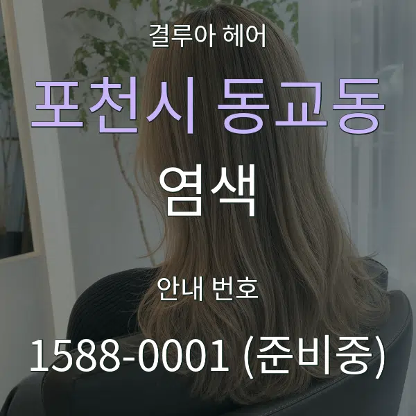 포천시 동교동 염색 대표 안내 그래픽