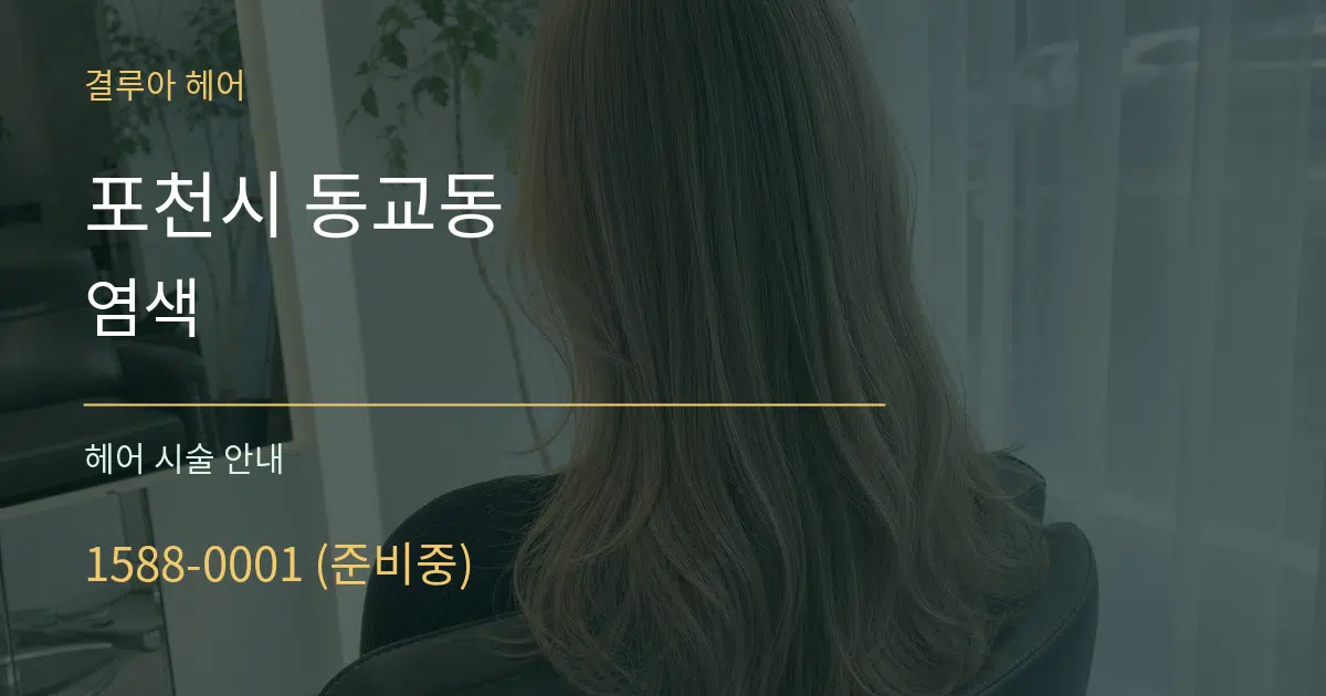 포천시 동교동 염색 대표 안내 그래픽
