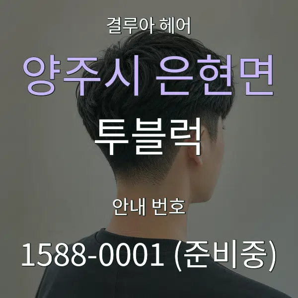 양주시 은현면 투블럭 대표 안내 그래픽