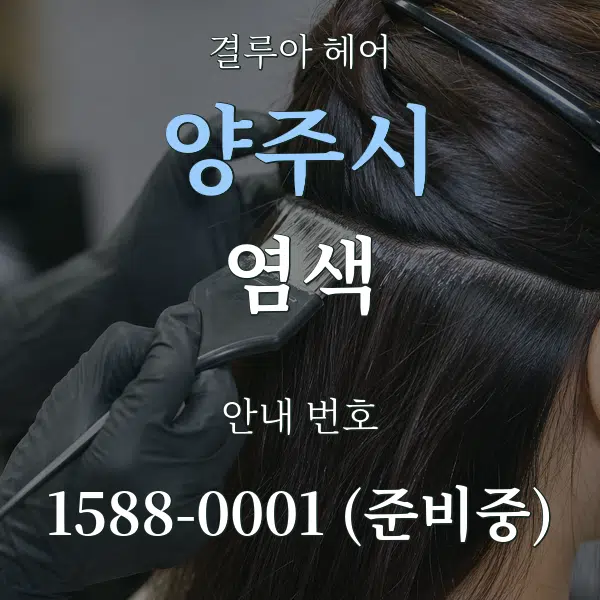 양주시 염색 대표 안내 그래픽
