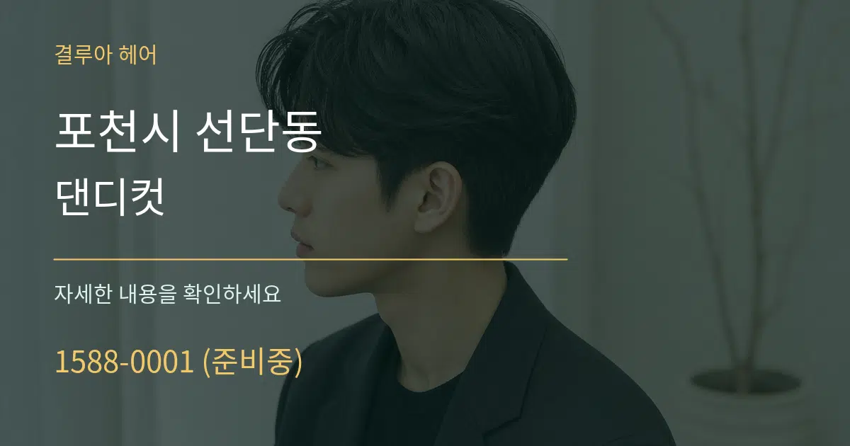 포천시 선단동 댄디컷 서비스 이용 안내 그래픽