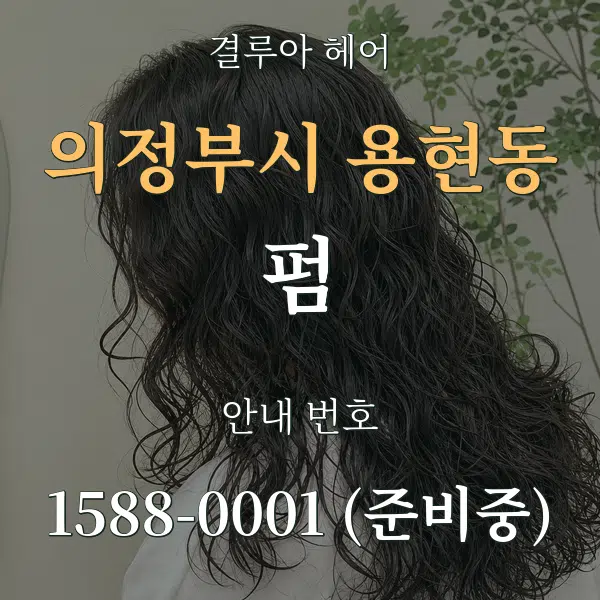 의정부시 용현동 펌 대표 안내 그래픽