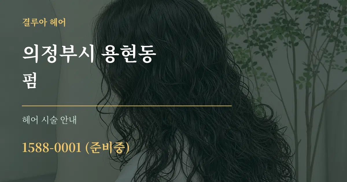 의정부시 용현동 펌 대표 안내 그래픽