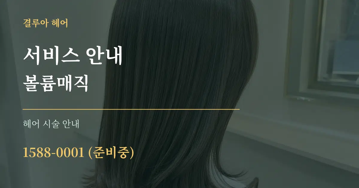 서비스 안내 볼륨매직 대표 안내 그래픽