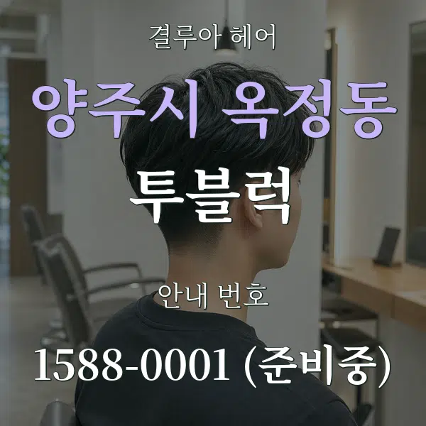 양주시 옥정동 투블럭 대표 안내 그래픽