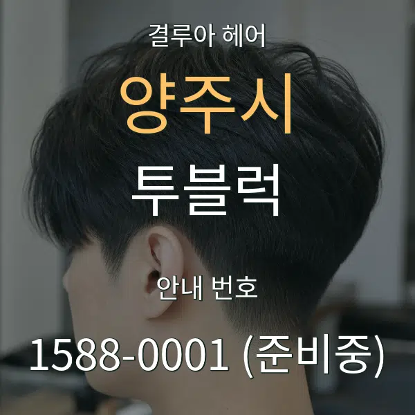 양주시 투블럭 대표 안내 그래픽
