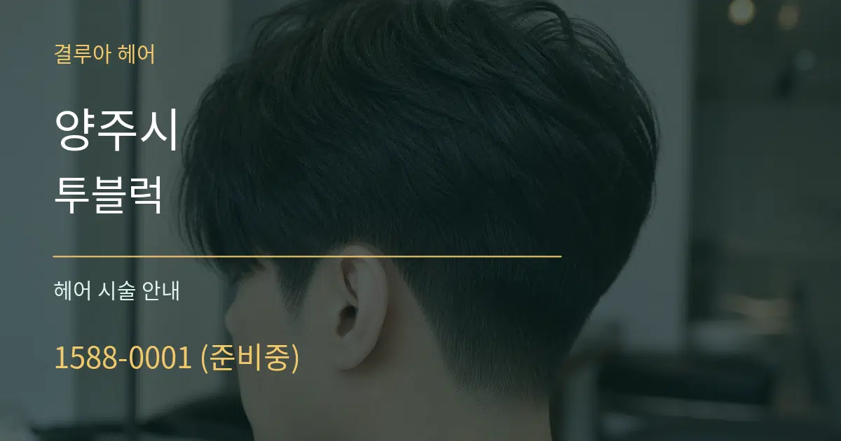 양주시 투블럭 대표 안내 그래픽