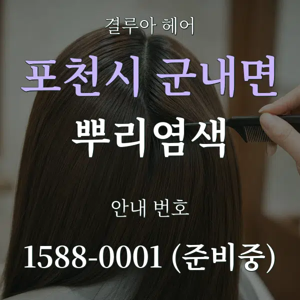 포천시 군내면 뿌리염색 대표 안내 그래픽