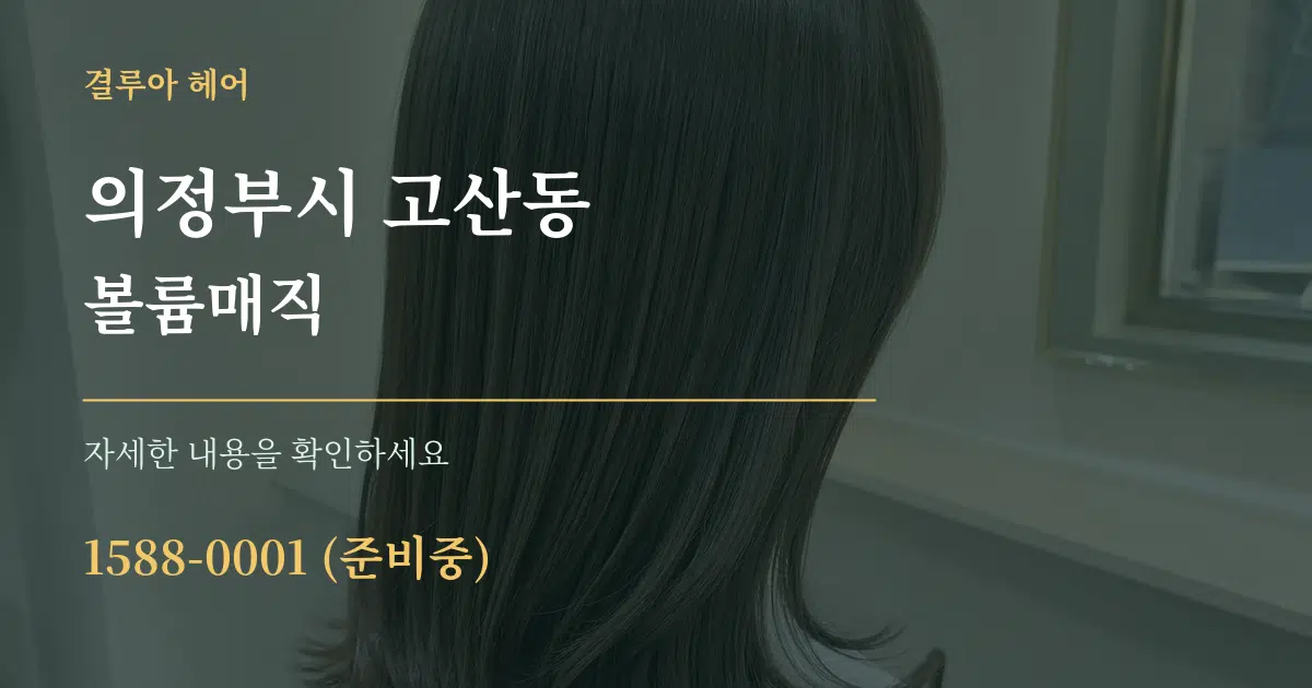 의정부시 고산동 볼륨매직 서비스 이용 안내 그래픽
