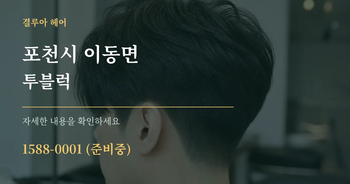 포천시 이동면 투블럭 서비스 이용 안내 그래픽