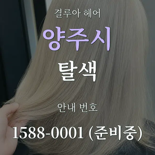 양주시 탈색 대표 안내 그래픽