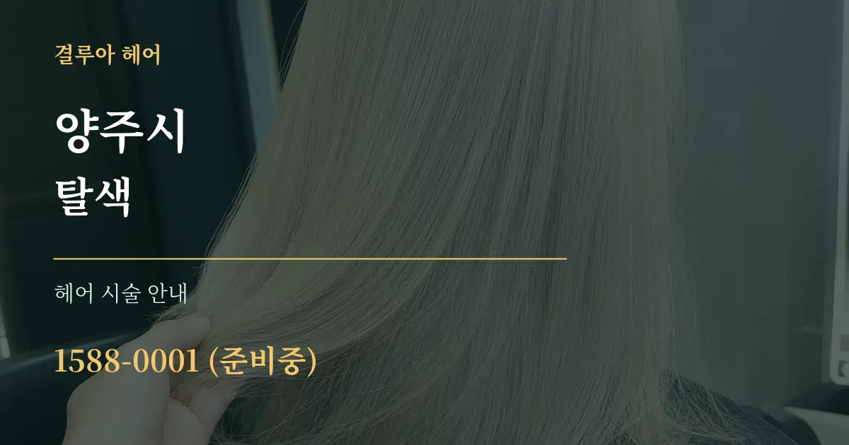 양주시 탈색 대표 안내 그래픽