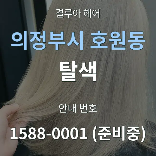 의정부시 호원동 탈색 대표 안내 그래픽