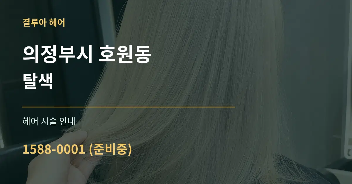 의정부시 호원동 탈색 대표 안내 그래픽