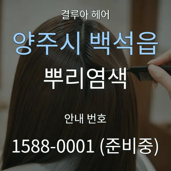 양주시 백석읍 뿌리염색 대표 안내 그래픽