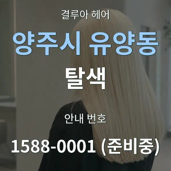 양주시 유양동 탈색 대표 안내 그래픽