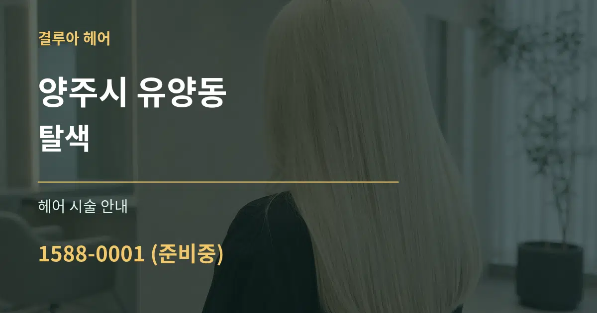 양주시 유양동 탈색 대표 안내 그래픽