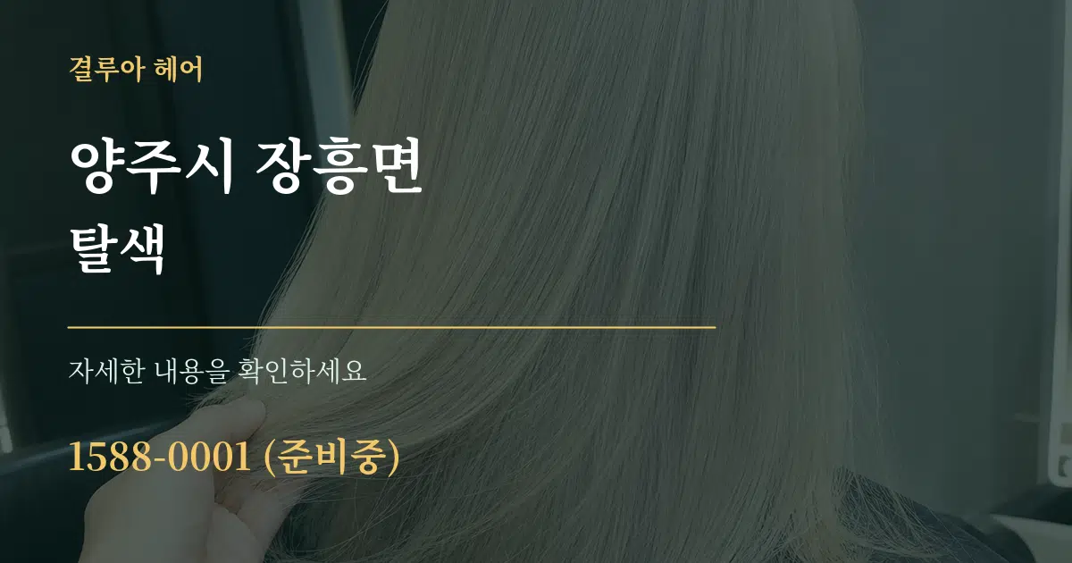 양주시 장흥면 탈색 서비스 이용 안내 그래픽