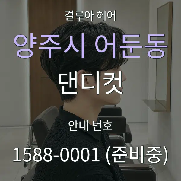 양주시 어둔동 댄디컷 대표 안내 그래픽
