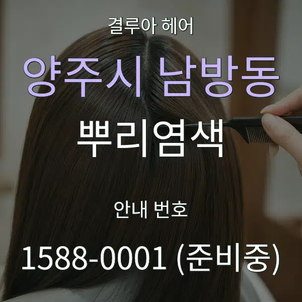 양주시 남방동 뿌리염색 대표 안내 그래픽