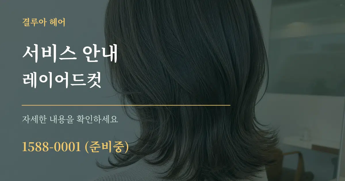 서비스 안내 레이어드컷 서비스 이용 안내 그래픽