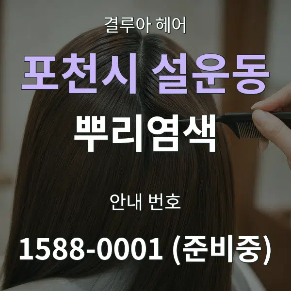포천시 설운동 뿌리염색 대표 안내 그래픽