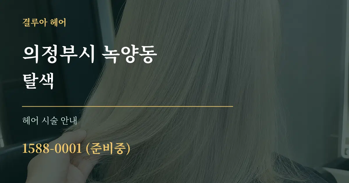 의정부시 녹양동 탈색 대표 안내 그래픽
