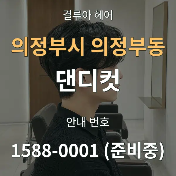 의정부시 의정부동 댄디컷 대표 안내 그래픽