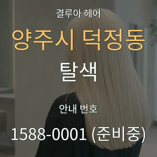 양주시 덕정동 탈색 대표 안내 그래픽